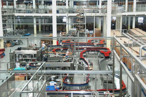 匠心鑄精品 質(zhì)量強佛山 九 打造美味王國,這瓶醬油不簡單