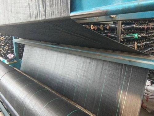 防草布生產(chǎn)廠家及經(jīng)緯編布銷(xiāo)售聯(lián)系方式